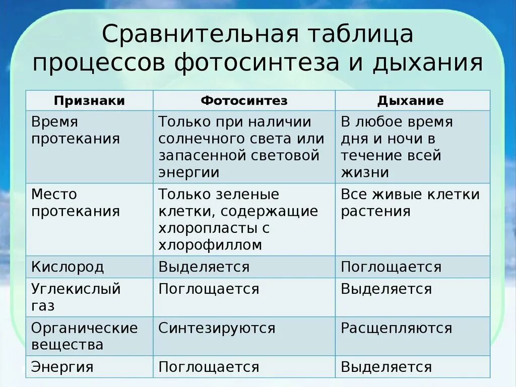 В каких клетках происходит процесс дыхания растений. Сравнение процессов дыхания у растений таблица. Сравнительная характеристика фотосинтез и дыхание биология. Сравнительная характеристика процессов дыхания и фотосинтеза. Сравнительная характеристика дыхания и фотосинтеза биология 6.