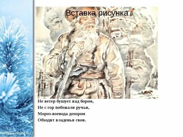 некрасов не ветер бушует. ветер стих и мороз забирал крепче. ветер стих и мороз забирал крепче.