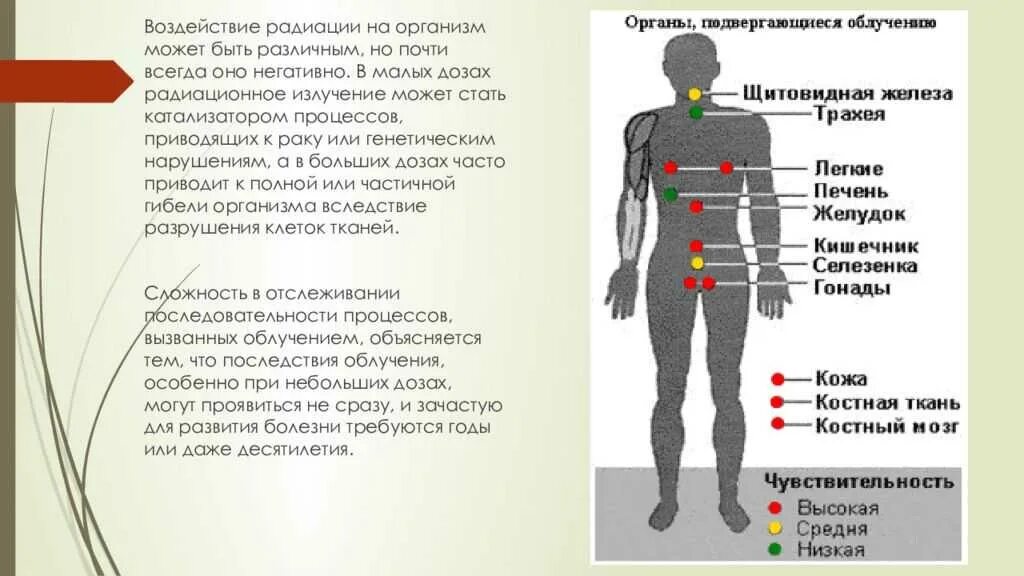 Территория радиационного воздействия