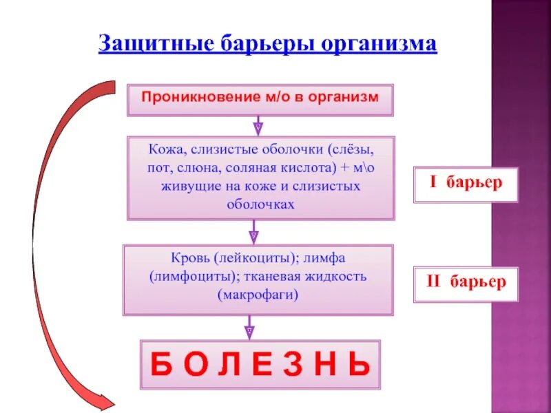 Физиологические барьеры женских половых органов. Защитные факторы неспецифической защиты. Барьер инфекций. Защитные барьеры организма. Барьер инфекций.