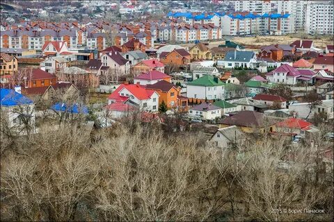 Белая калитва намыв