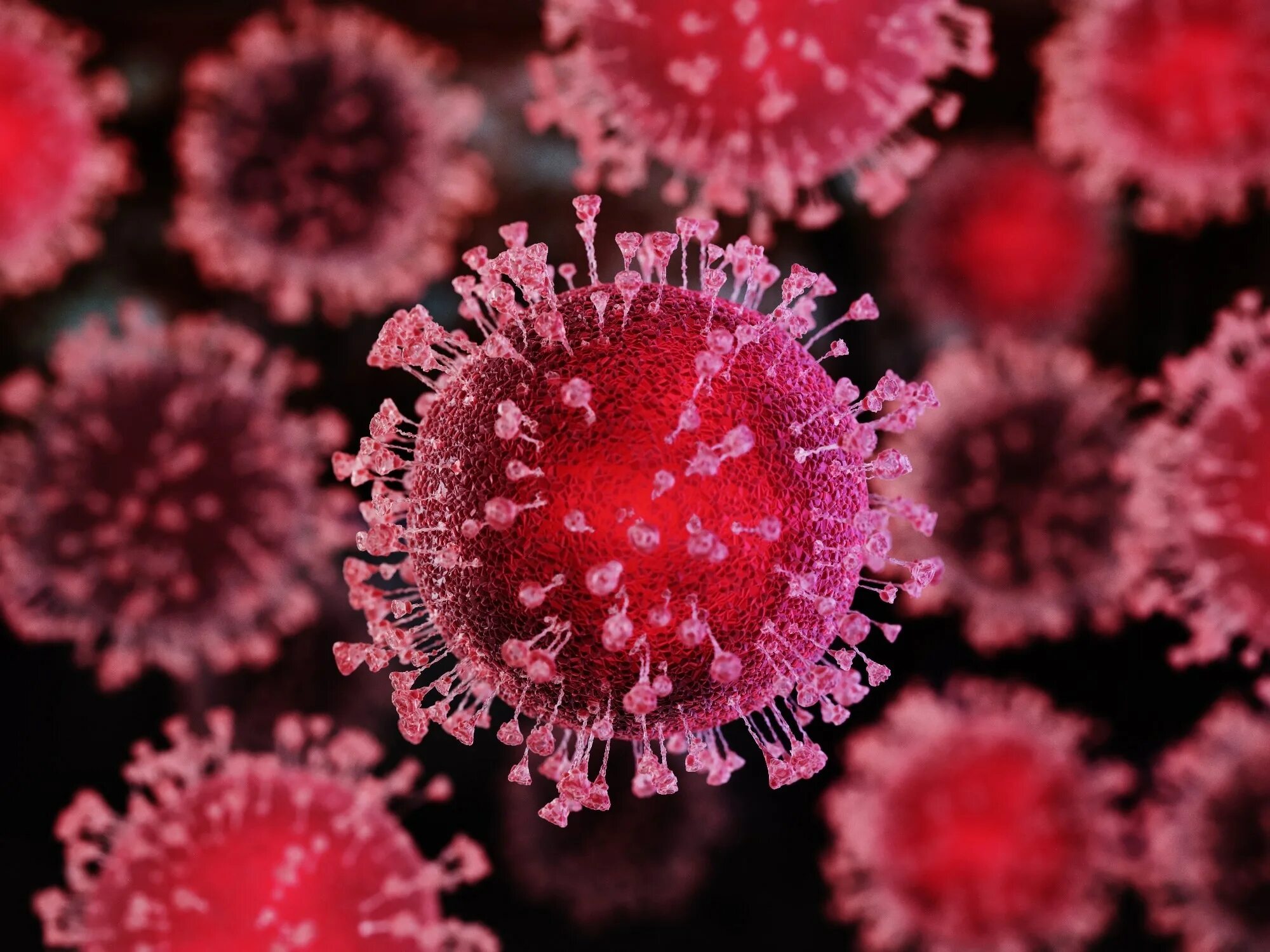 Коронавирус Shutterstock. Мутации вируса гриппа. Мутации вируса гриппа фото. Вирус 2023.