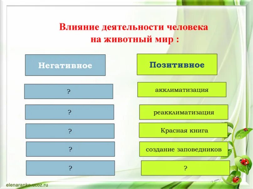 Воздействие человека на животных положительное и отрицательное. Положительное воздействие человека на животный мир. Отрицательное воздействие человека на животный мир. Отрицательное влияние человека на животных.