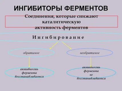 Снижающий уровень ферментов