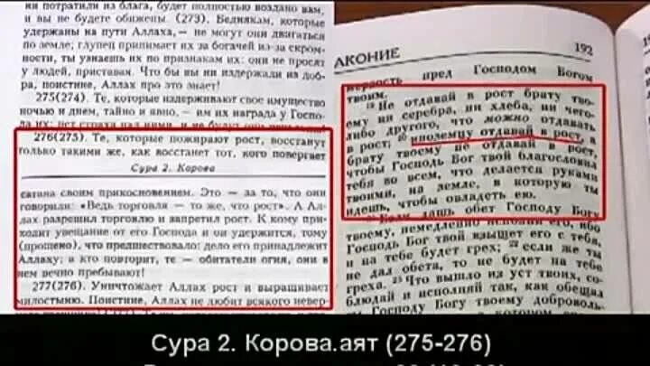 Православным можно есть свинину по библии. Свинина запрещено есть в библии. в библии про свинину. стих в библии о запрете есть свинину. запрещено ли христианам есть свинину.