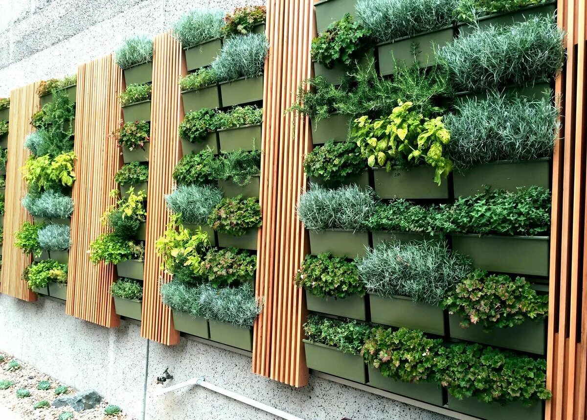 Зелень на даче. Огород на стене. Вертикальные грядки. Вертикальное Озеленение в саду. Вертикальное Озеленение всоду.