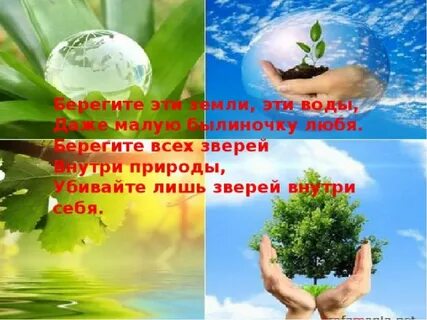 Даже воду
