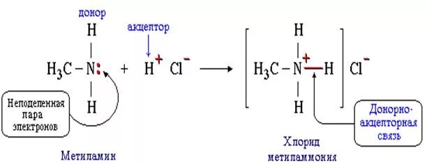Атом донор электронов. Триметиламин. Метиламин и хлороводород. Семиполярная химическая связь. Хлорид метиламмония связь.