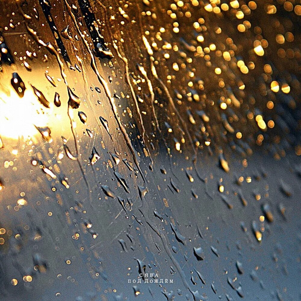 Песни под дождем слушать. Под дождем. Дождь под дождем. Обложка дождь. Ситный дождь.