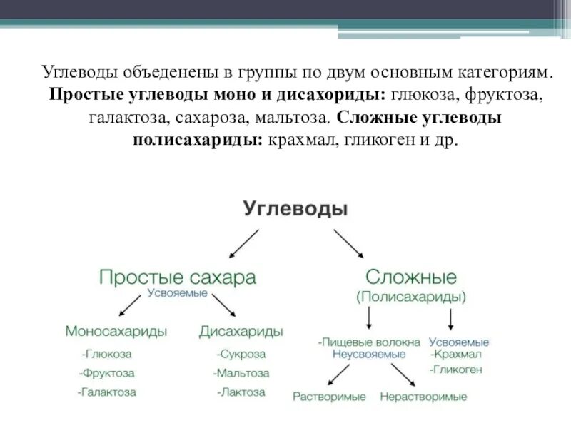 Термины делятся на группы. Классификация типов рынка. На какие две группы делятся растения. Матричная организационная структура управления предприятием. На несколько основных групп.