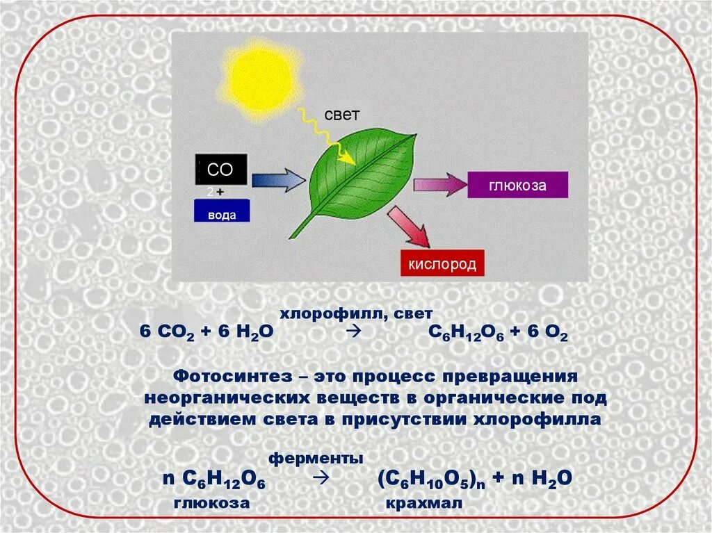 Отношение углекислого газа к воде. Образование Глюкозы фотосинтез. Образование Глюкозы в процессе фотосинтеза. Фотосинтез свет хлорофилл световая фаза. Образование Глюкозы при фотосинтезе.