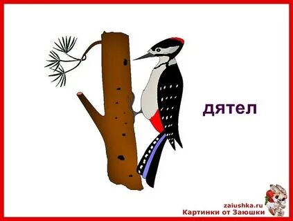 Ласточка словарное слово
