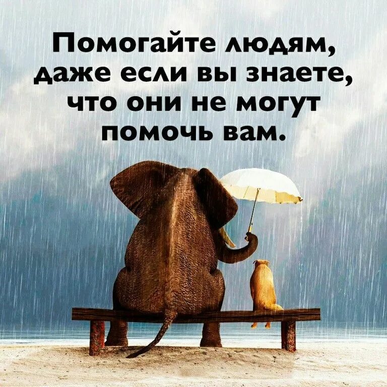 Поступи умней. Умные мысли. Мудрые мысли. Мудрые позитивные высказывания. Высказывания в картинках.