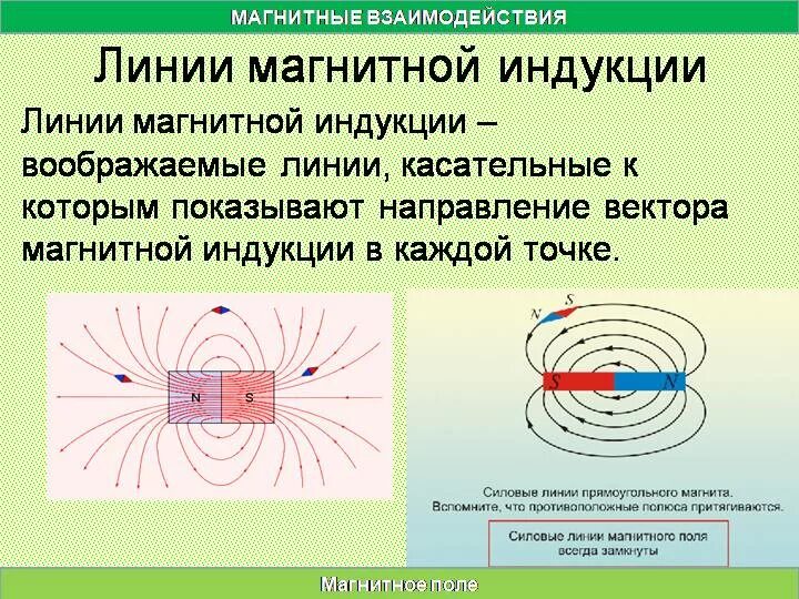 Виды линий магнитной индукции