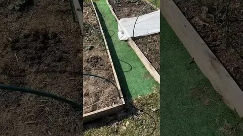 Устилают землю и воду таким пестрым ковром