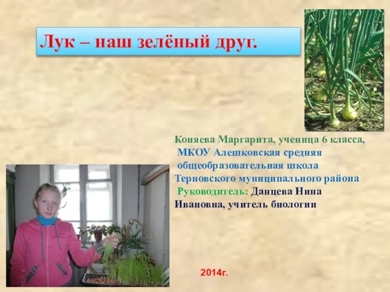 Презентация зеленый лук. Лук наш зеленый друг. Проект лук наш зелёный друг. Лук зеленый друг. Презентация о луке.