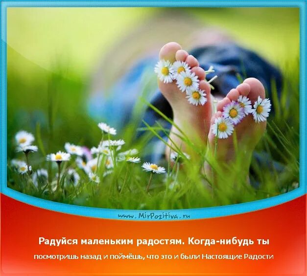 Нам не дано понять чему так радуется