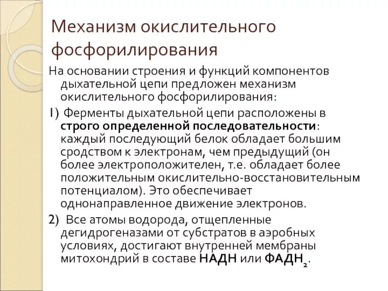 Эскизы ГДЕ ПРОИСХОДИТ ПРОЦЕСС ОКИСЛИТЕЛЬНОГО ФОСФОРИЛИРОВАНИЯ