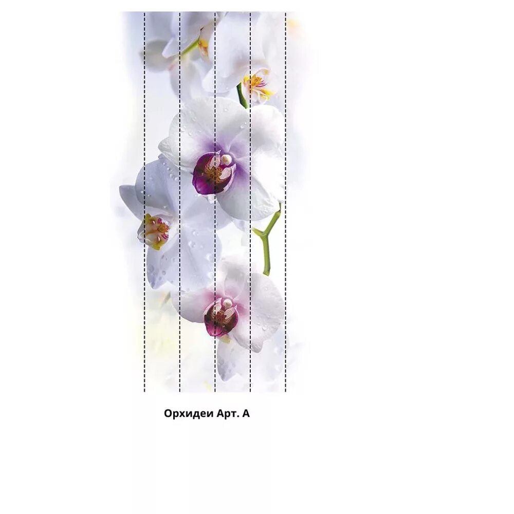 Панели ПВХ регул Орхидея. Панель ПВХ С цифровой печатью "арт лайн серый" вставка 2700x375x9 мм. Оптион панели ПВХ. Панели панно. Панель пвх орхидея