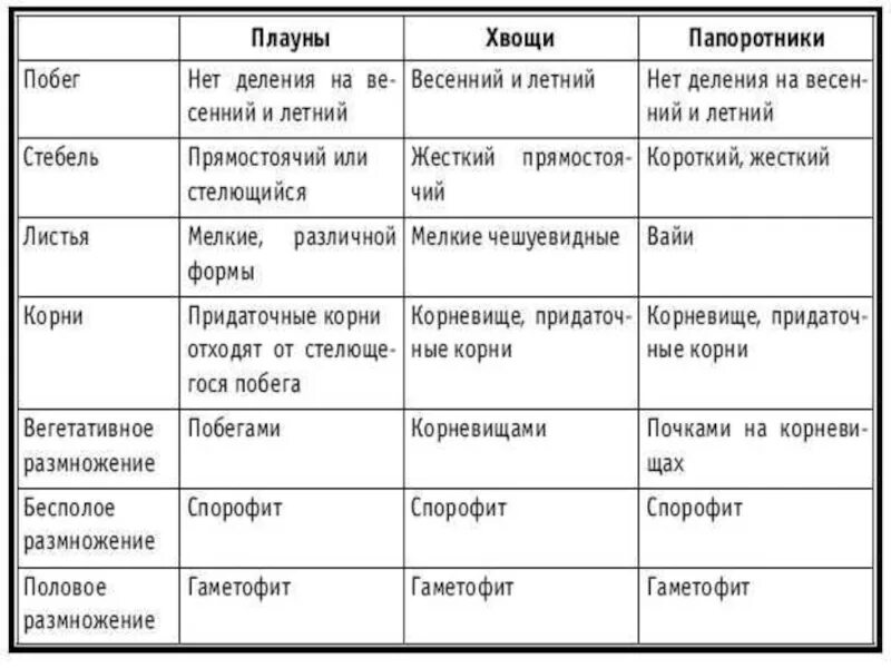 Различие между плаунами и хвощами. Сравнительная характеристика папоротников хвощей и плаунов. Таблица по биологии 5 класс плауны хвощи папоротники. Сравнительная таблица папоротников хвощей и плаунов. Папаротник хвощи плуны характеристика.