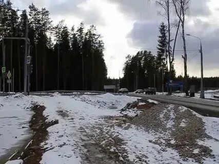 Киевский власиха