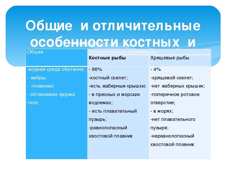 Характеристика классов рыб таблица. Черты внутреннего строения хрящевых рыб таблица. Особенности строения хрящевых и костных рыб. Особенности хрящевых рыб. Костистые рыбы особенности строения.