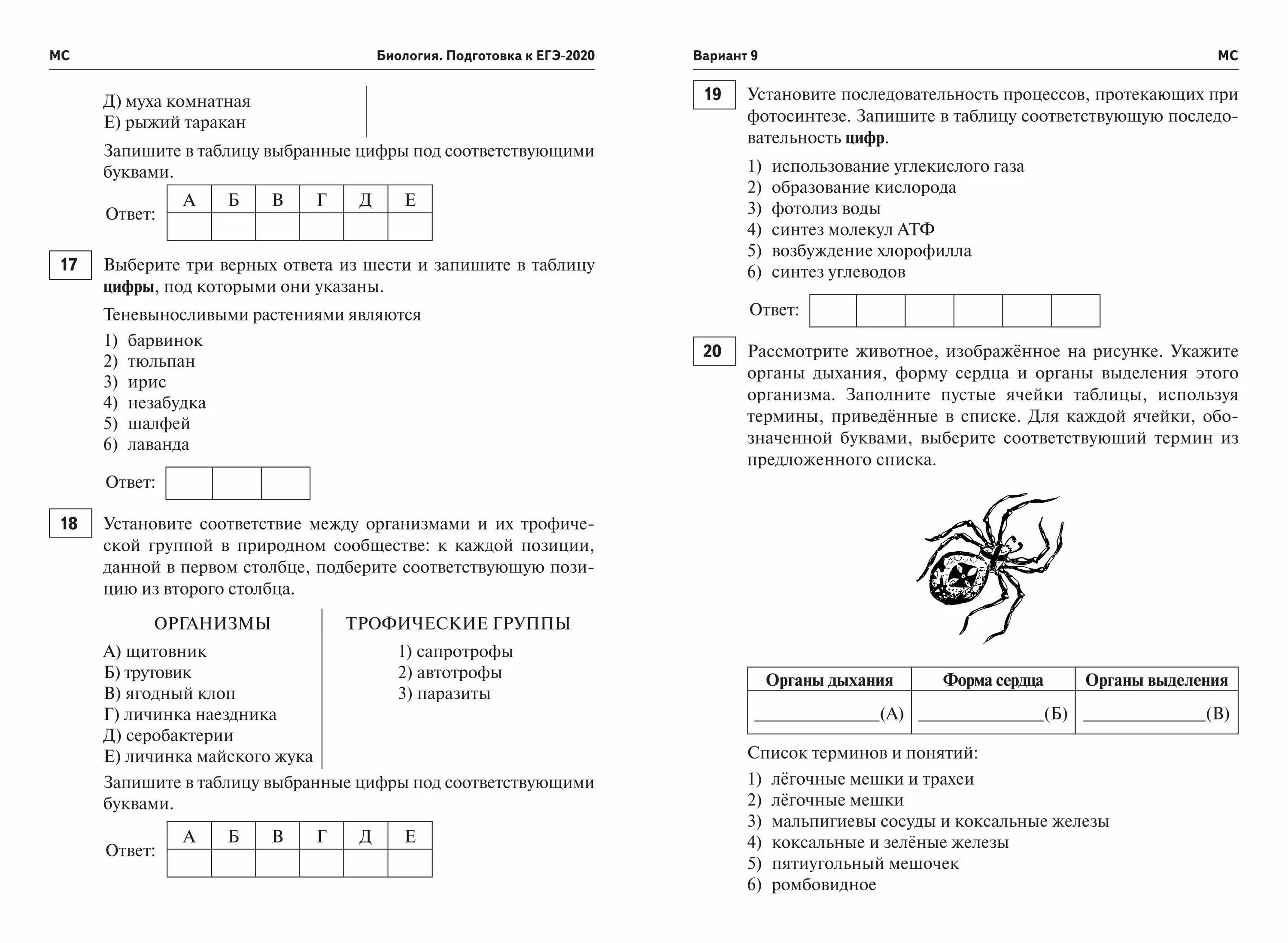 Демонстрационный вариант ЕГЭ биология 2020. ЕГЭ биология тесты. ЕГЭ по биологии задания. Контрольная работа по ЕГЭ.