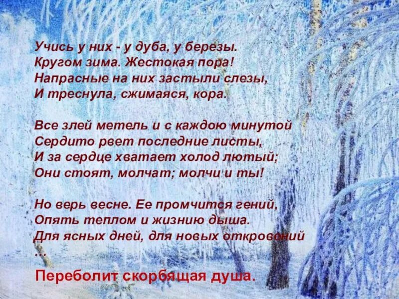 Стих учись у них у дуба. Стихотворение Фета учись у них у дуба у березы. Стихотворение Фета у дуба у березы. Фет у дуба у березы стих. Стихотворение учись у них у дуба у березы.