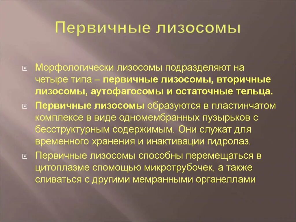 Первичные и вторичные лизосомы. Первичная лизосома. образование вторичных лизосом. лизосомы первичные вторичные и остаточные тельца.