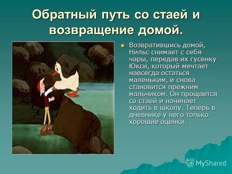 Краткое содержание нильса с дикими. Приключения Нильса с дикими гусями. Герои сказки про Нильса.