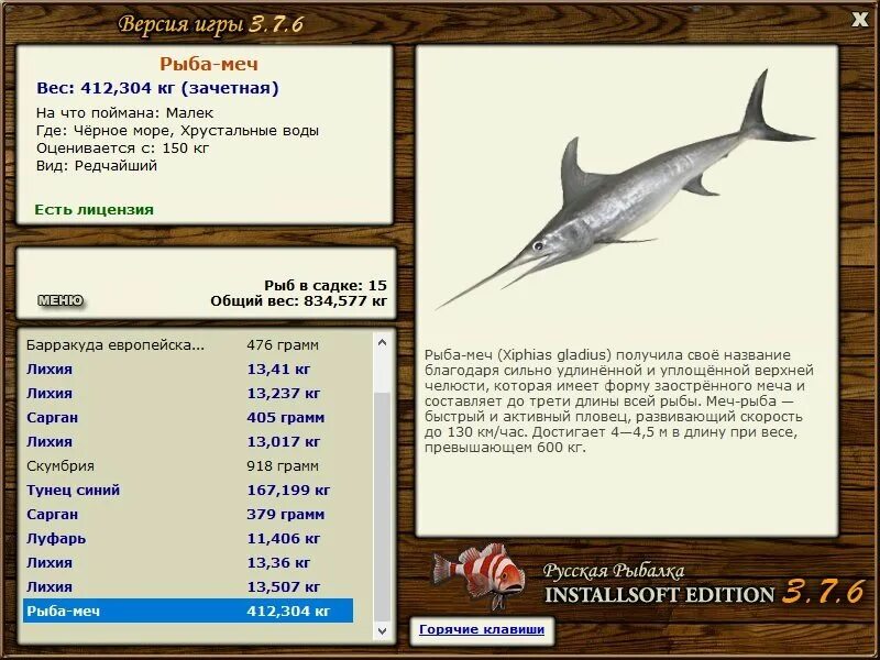 марлин парусник и рыба меч. рыба меч вес. реальная рыбалка рыба меч. атлантический белый марлин. рыба меч и акула.