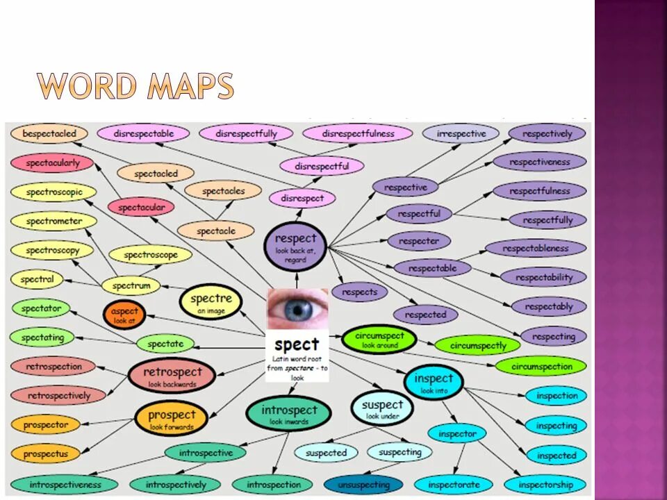 Word map is. Word map. английский words map. english word map. vocabulary mind maps.