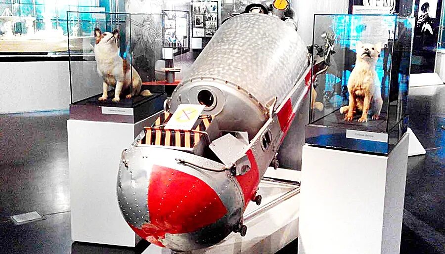 Спутник 5 собаки. Спутник 5 СССР. Корабль Спутник 5. Спутник-5 космический аппарат. Советский корабль Спутник 5.
