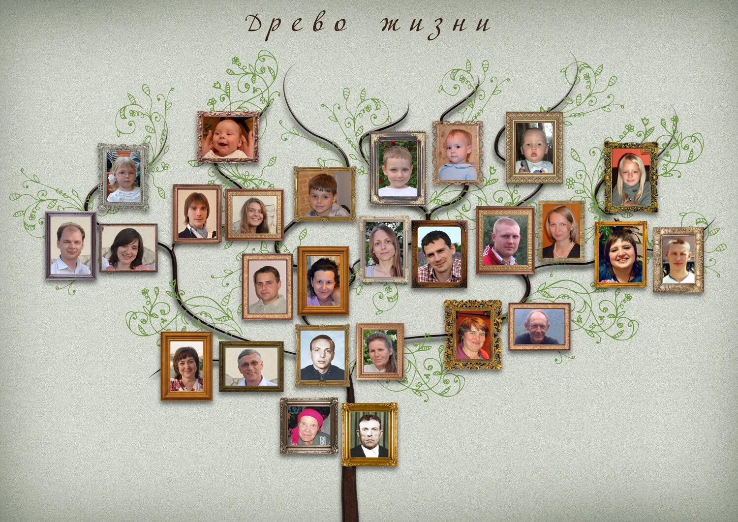 фотоколлаж семейное дерево. фоторамка генеалогическое дерево. генеалогическое древо семьи. оригинальное родословное дерево. коллаж семейное древо.