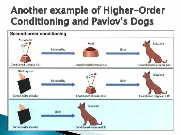 Second-order conditioning. Second order condition. Classical conditioning example. Conditioned stimulus.