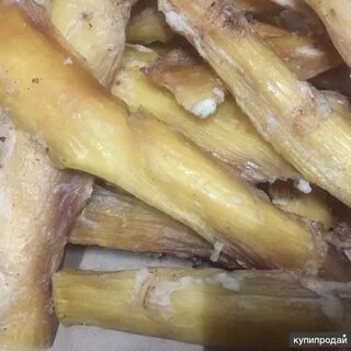 Сухая жила