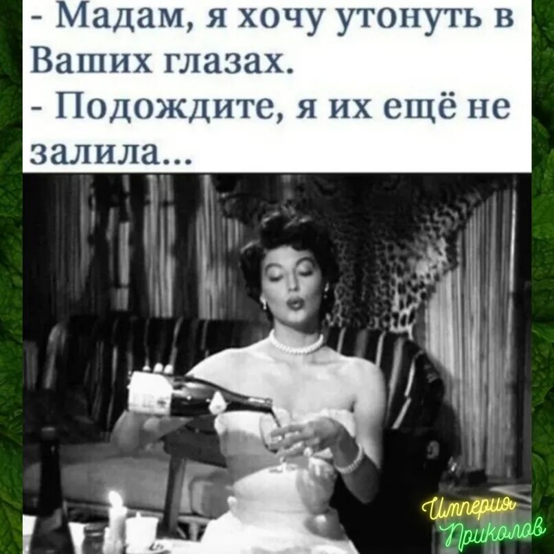 Нет настроения без причины у женщины. Нет настроения съешь шоколадку. шутки про мадам. мадам картинки прикольные. мадам прикол.