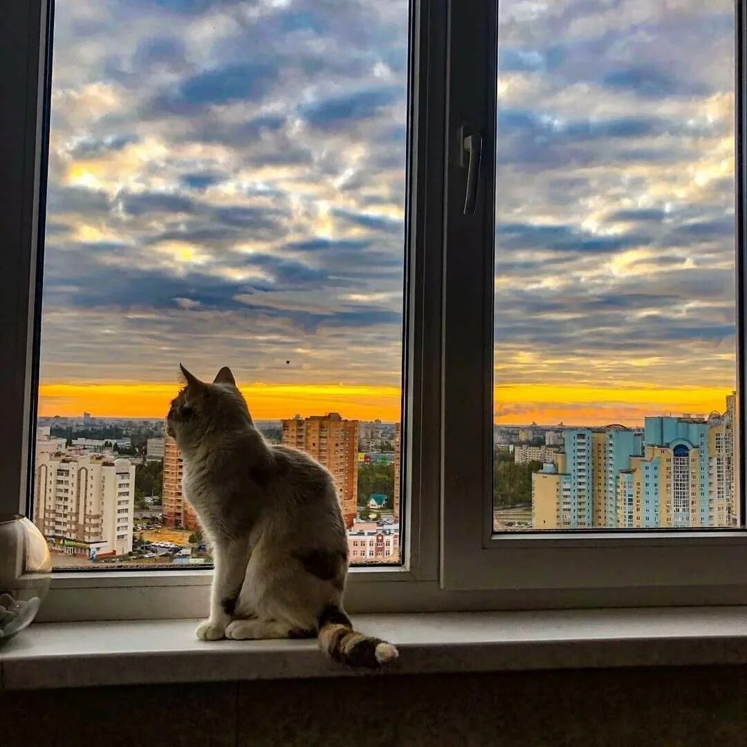 Window post