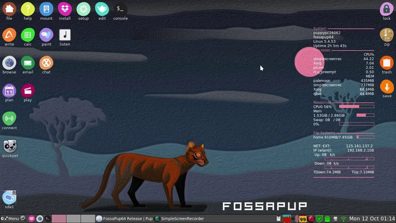 Puppy rus. Паппи линукс. puppy linux 9.5. fossapup64 9.5. puppyrus.