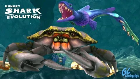 Hungry shark краб