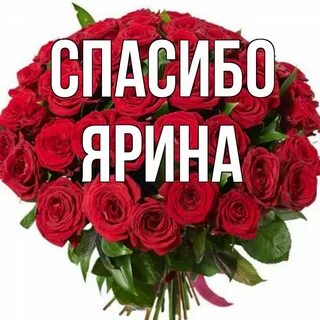 Иришка большая