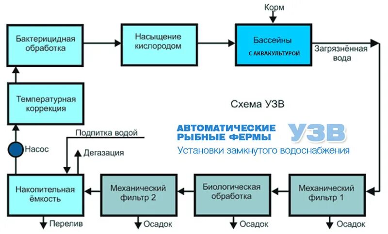 Стандартная узв состоит из нескольких основных узлов. Схема работы узв для выращивания рыбы. схема установки замкнутого водоснабжения. узв технологическая схема. чертеж мини узв.