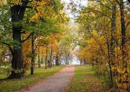 7 осень