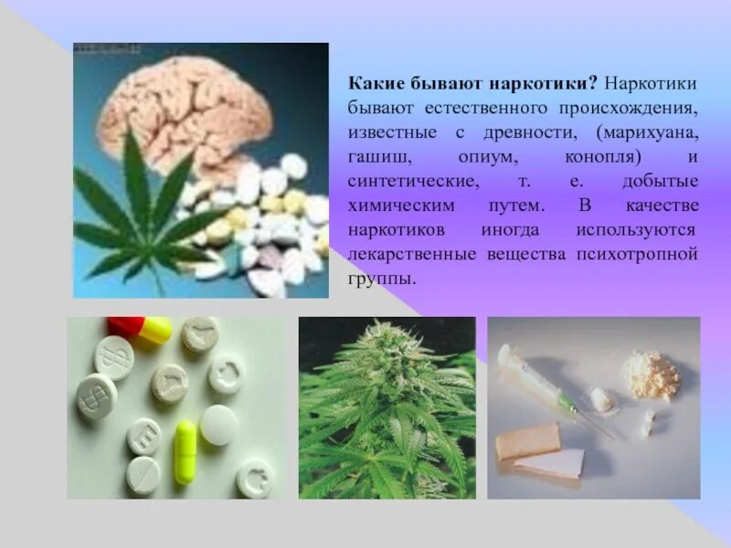 Какие бывает ли