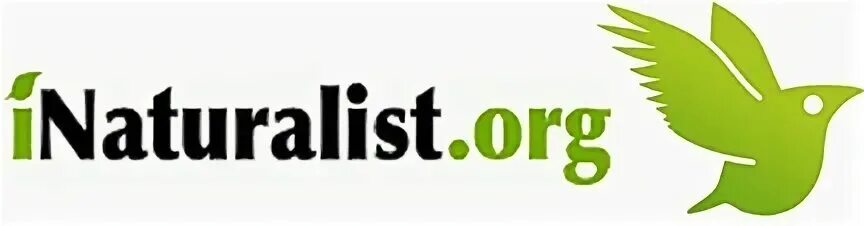 Naturalist add on. The naturalist логотип. Ноп naturalist. Seek inaturalist. Inaturalist натуралист.
