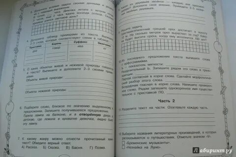 Ответы на комплексные задания