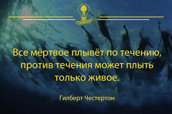 Плыть против течения. Живая рыба плывет против течения дохлая по течению. Рыба течет против течения. Только мертвая рыба плывет по течению.