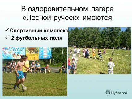 Лесной ручеек текст
