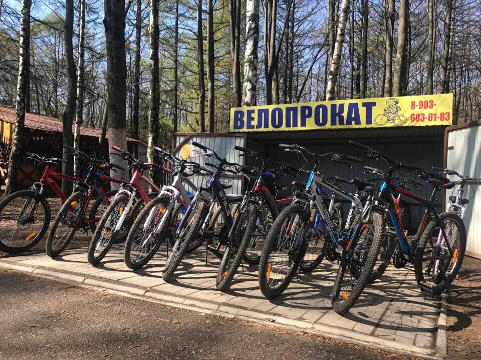 Прокат велосипедов новгород