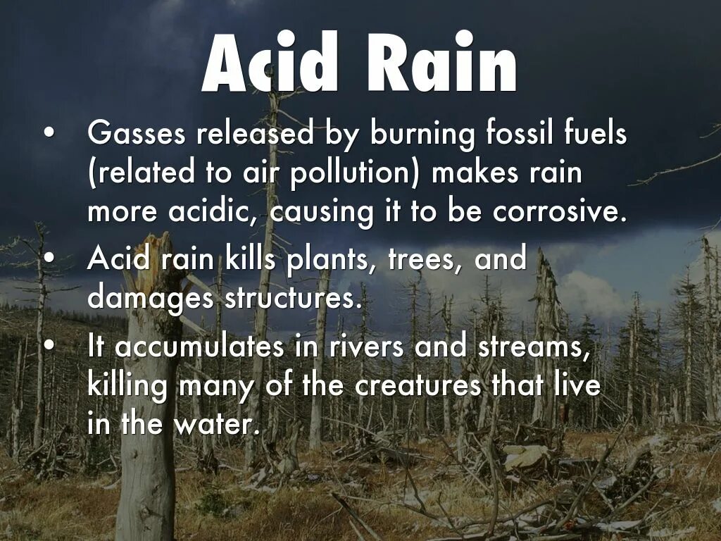 Английский 7 класс стр 77 acid rain. Пересказ текста acid Rain. Что такое кислотный дождь на английском. Сообщение acid Rain. Acid Rain 7 класс.